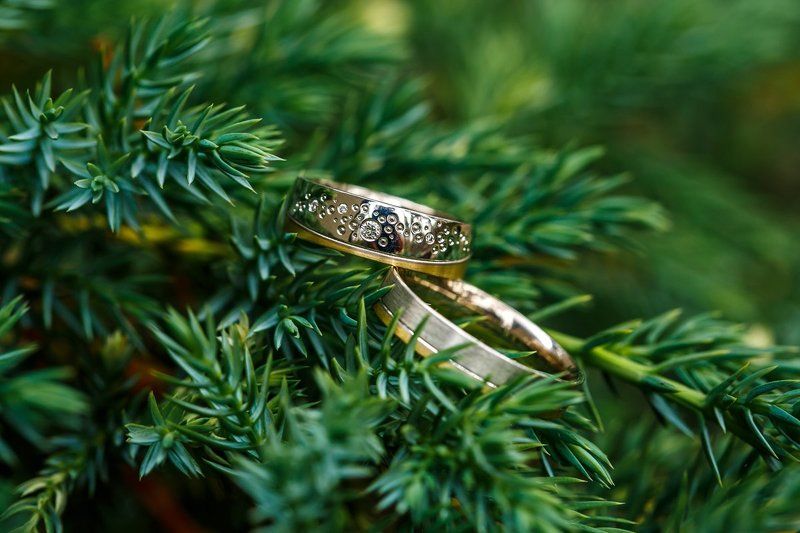 свадебная прогулка, свадьба, жених, невеста, любовь, love story, кольца, mdmmikle, Латвия, Рига Свадебные кольцаphoto preview