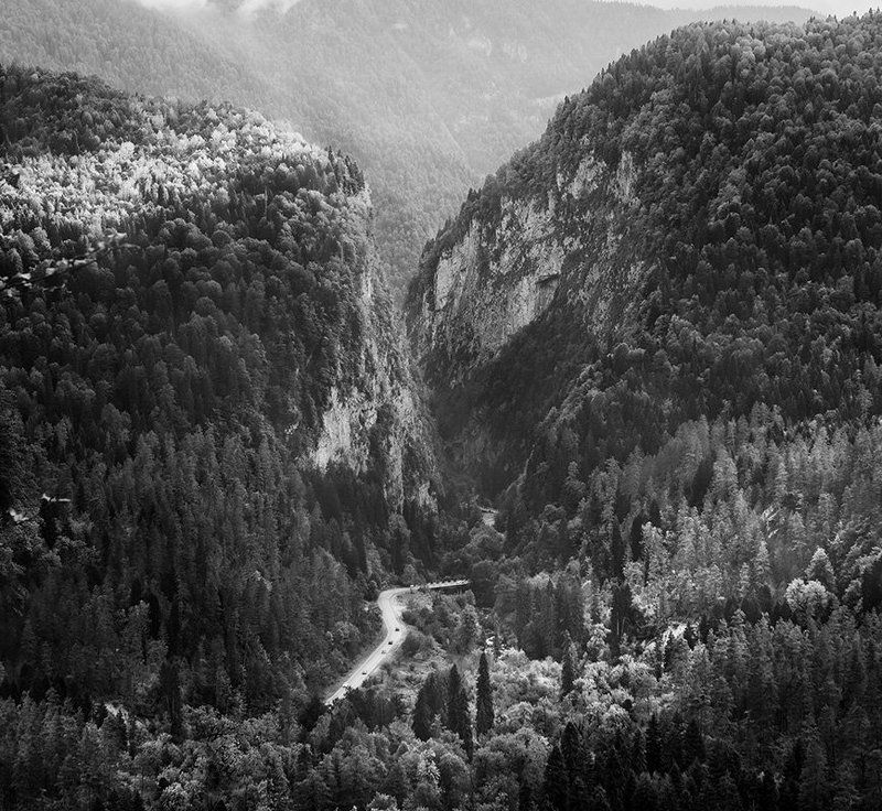 рица, абхазия, природа, парк, горы, дорога, отдых, лес Рицинский реликтовый национальный паркphoto preview