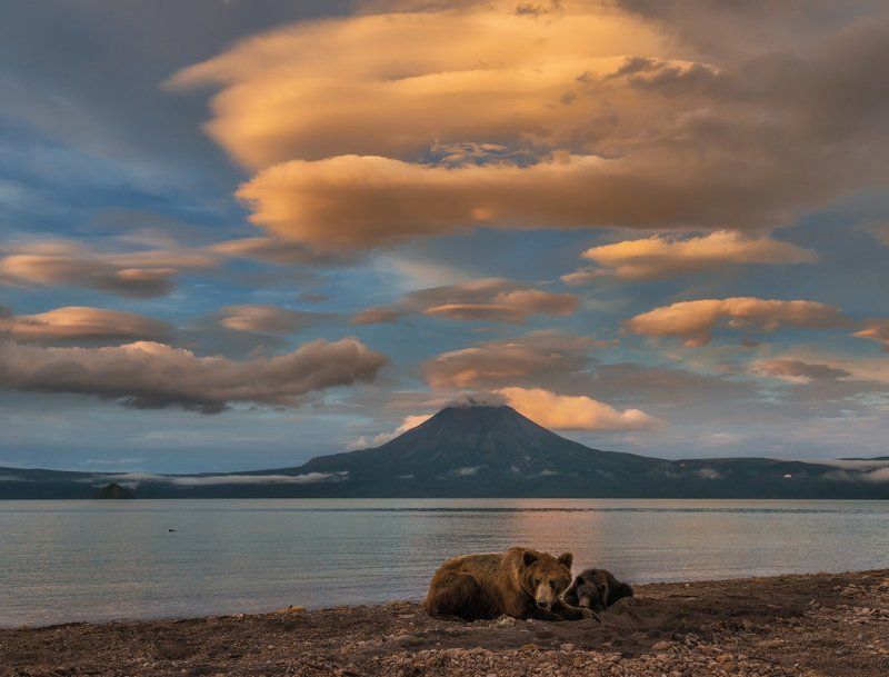 Камчатка, Курильское озеро Вечер на Курильском.photo preview