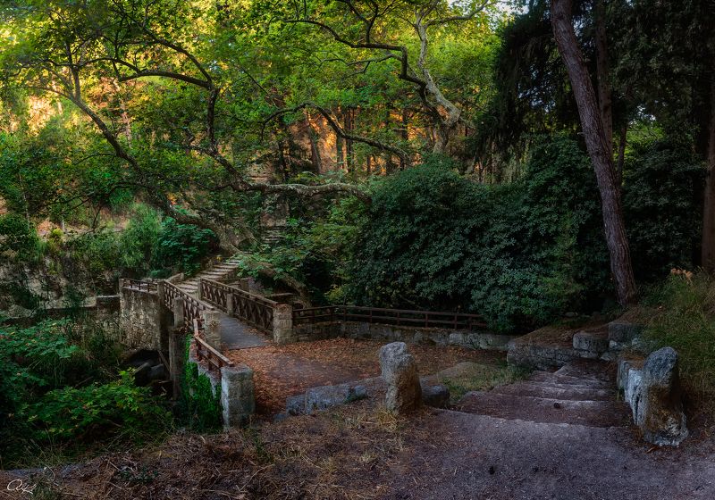 Вечер в паркеphoto preview