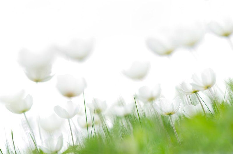 Души цветовphoto preview