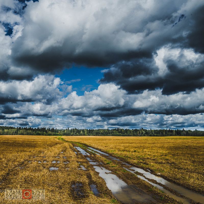 поля, тучи Поля Ленинградской областиphoto preview