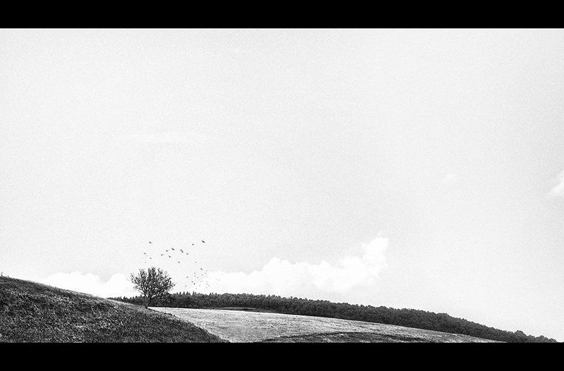 The visitorsphoto preview