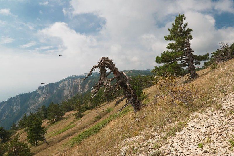 Последние дни лета....photo preview