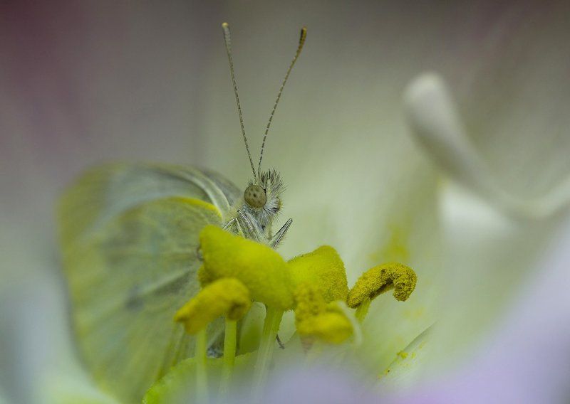 Лето закончилось ровно в осень... ..photo preview