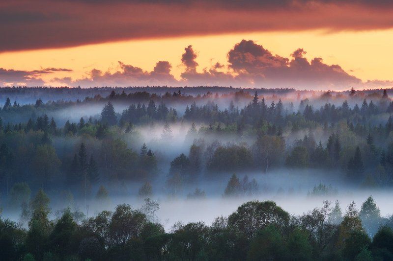 Ленинградская область, Осень, Туман Вечер в лесахphoto preview