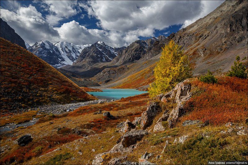 Алтай, Аня графова, Горный алтай, Горы, Каракабак, Осень, Северо-чуйский хребет Осенние краски высокогорий.photo preview