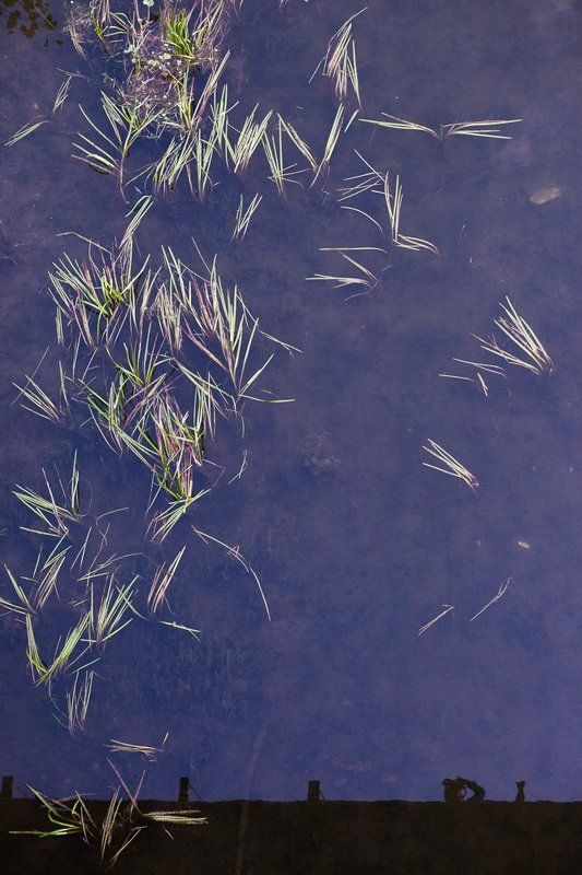 Abstraction, Color, Water All Farewells are suddenphoto preview