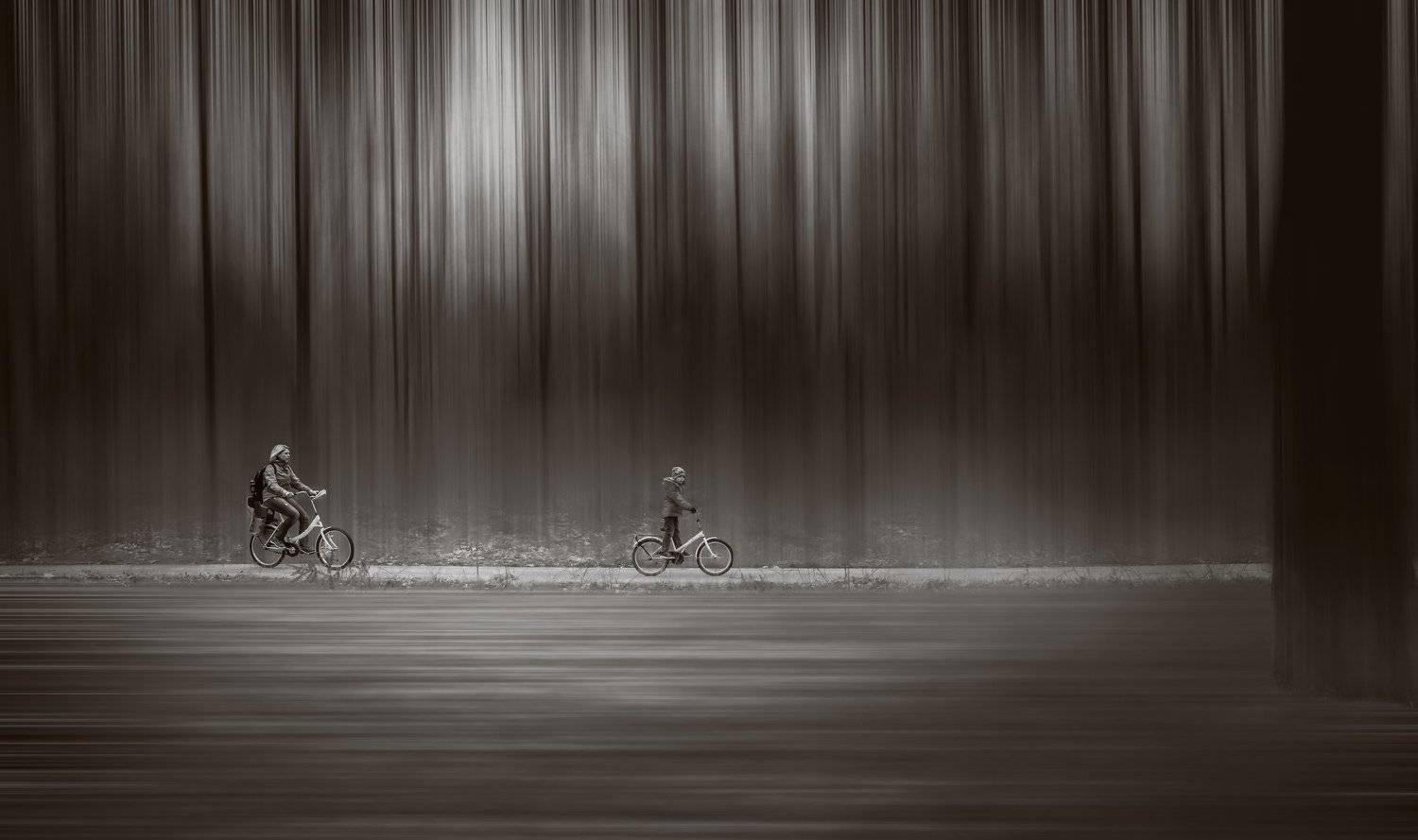 Bike, Bw, Child, Forest, Light, Mother, Road, Trees, Walking, Сергей Нестеров