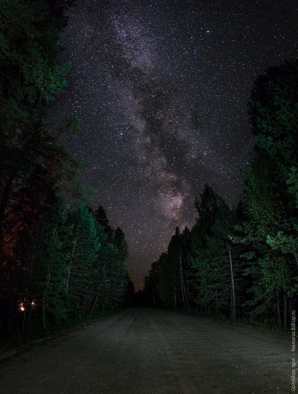 дорога, звёздное небо, звёзды, лес, млечный путь, ночное небо, ночной пейзаж, ночь, пейзаж Дороги... фото превью