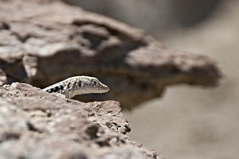 казахстан. Застывшее отражение.photo preview