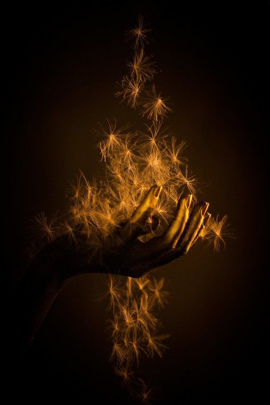 International Floral Art 2016-2017photo preview