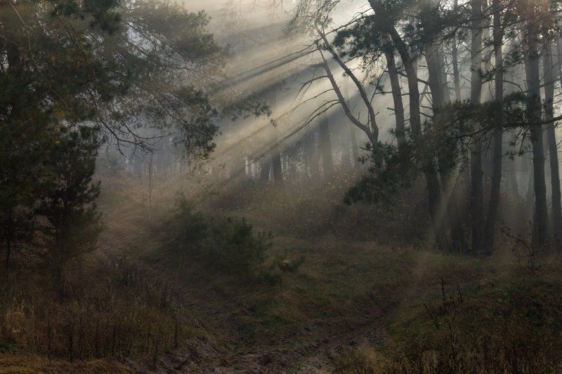 . . . фото превью