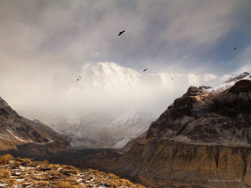 Гималаи, Непал, Аннапурна I, базовый лагерь, весна, птицы, снег, ледник, вершина, массив, гора, морена, рассвет, утро Рассветнаяphoto preview