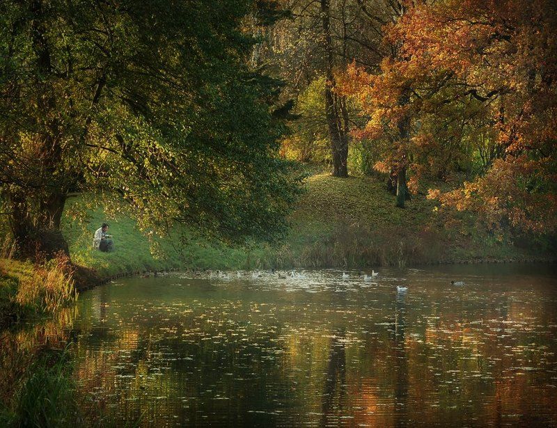 Nostalgiaphoto preview