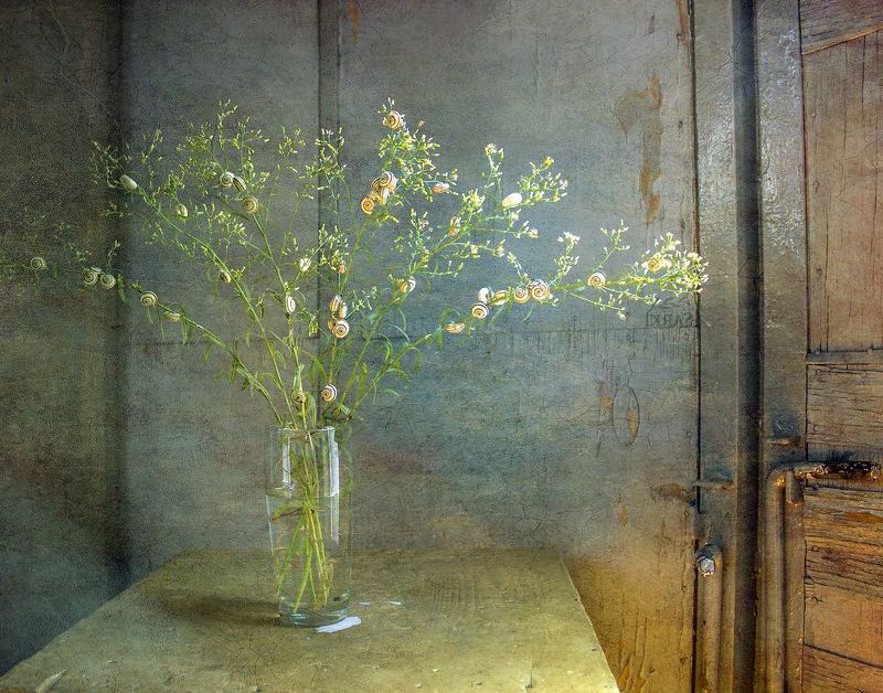 табуретка улитки sarki С улитками.photo preview