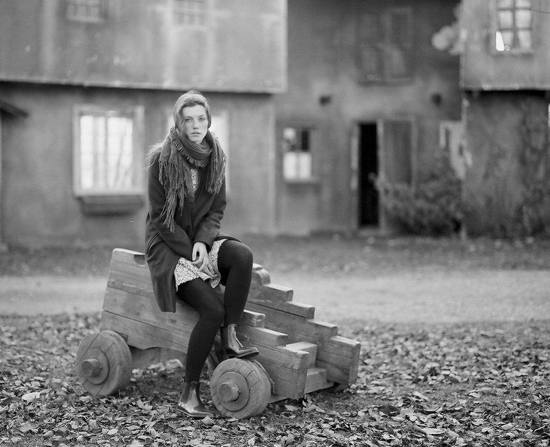 Дверь в лето.photo preview