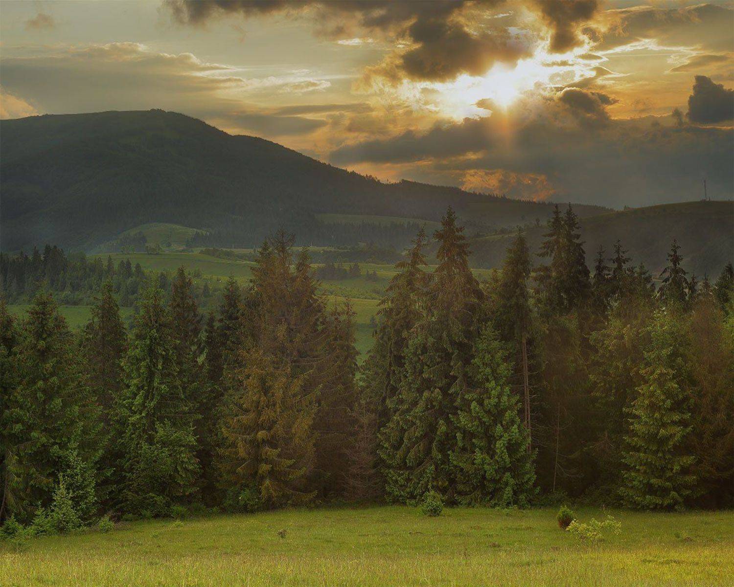 Горы, Ели, Закат, Карпаты, Небо, Тучи, Роман Рысь