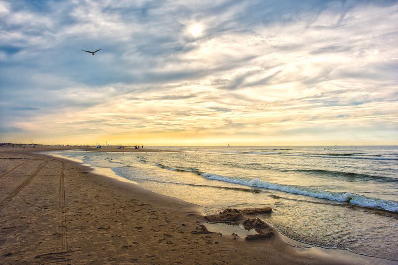 Clouds, Evening, Holland, Landscape, Light, Nature, People, Rotterdam, Sea, Seagull, Sky, Sunset, Waves warm North seaphoto preview