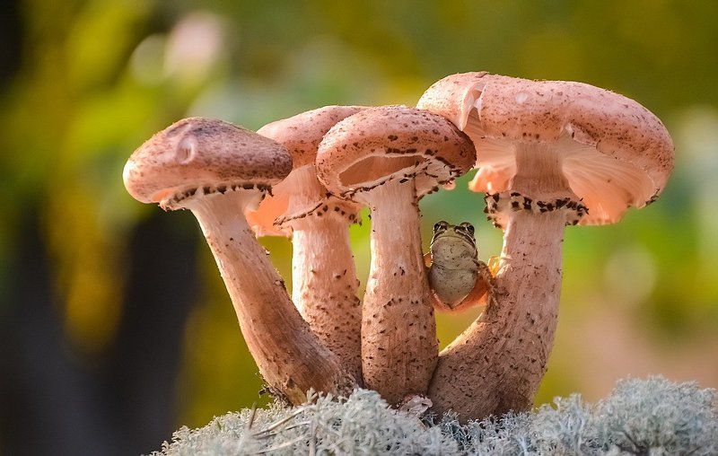 Раз-два-три-четыре-пять, выхожу тебя искать... фото превью