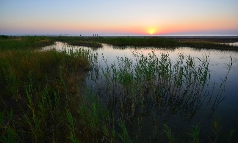 azov sea, berdyansk, азовское море, бердянск, приазовье На азовских лиманахphoto preview