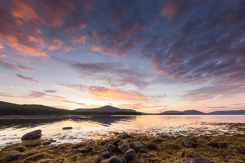 Рассвет с уткамиphoto preview