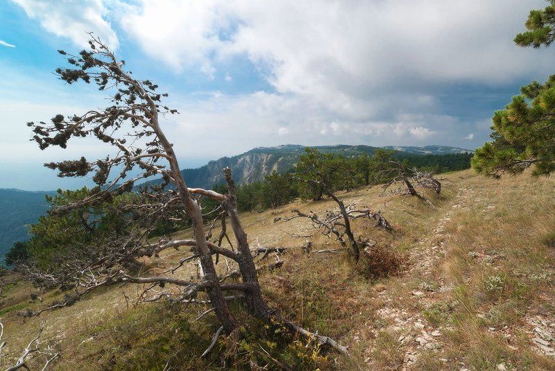 Суровый край....photo preview