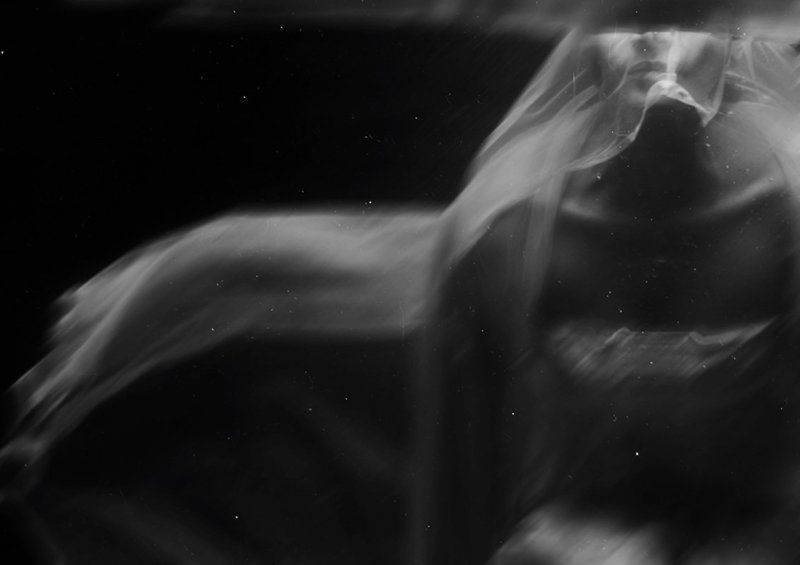 the fallenphoto preview