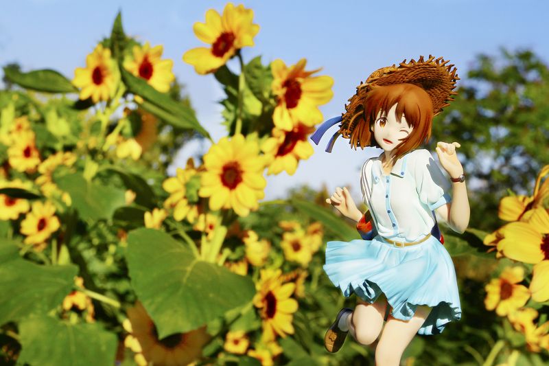 Figure - Yukiho - Hinagiku  photographer photo preview