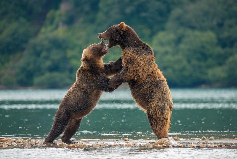 Это любовь...photo preview