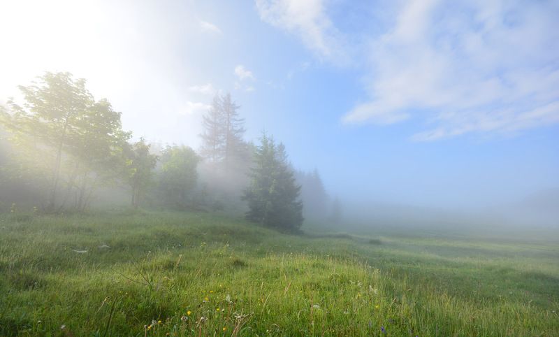 утро, туман, карпаты, karpaty Утренняяphoto preview