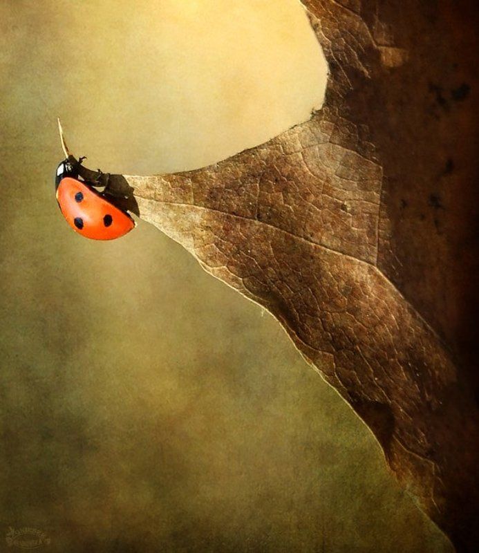 O samotnościphoto preview