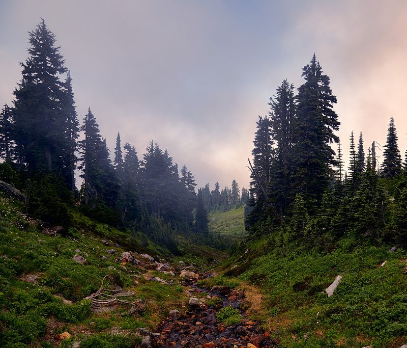 Горы, Туман, Утро Про тишинуphoto preview