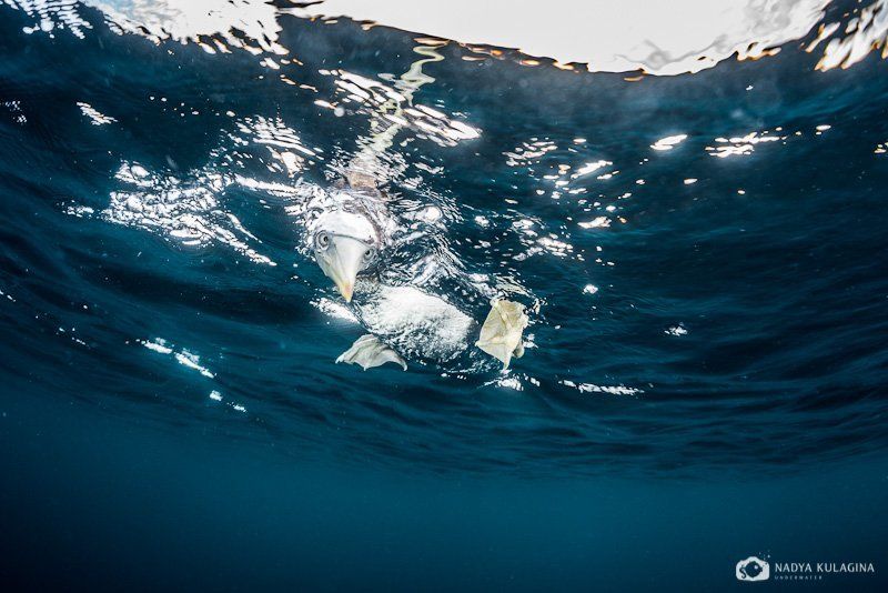 What\'s up, dude?photo preview