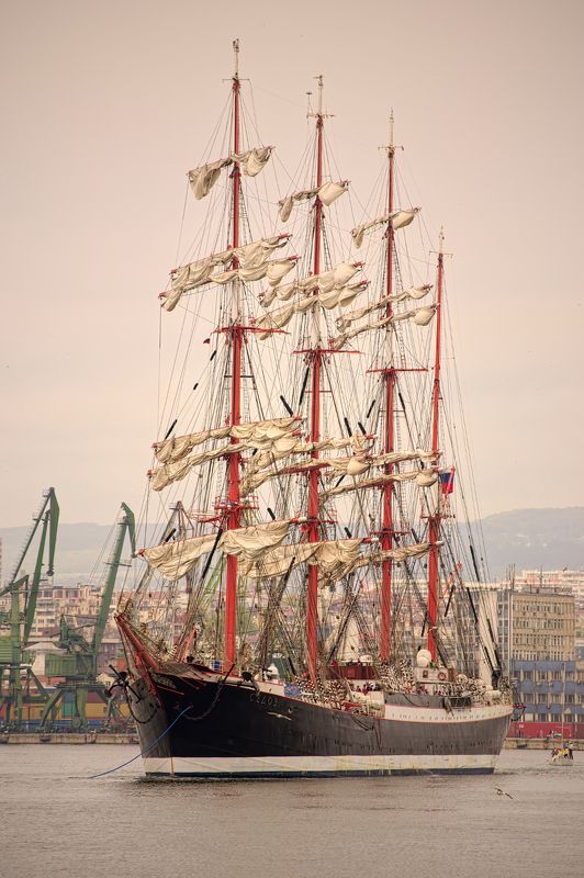 Седовphoto preview