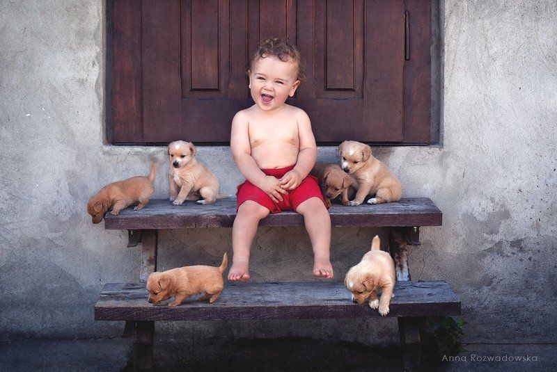 child, dogs, puppies, fun too cute!photo preview