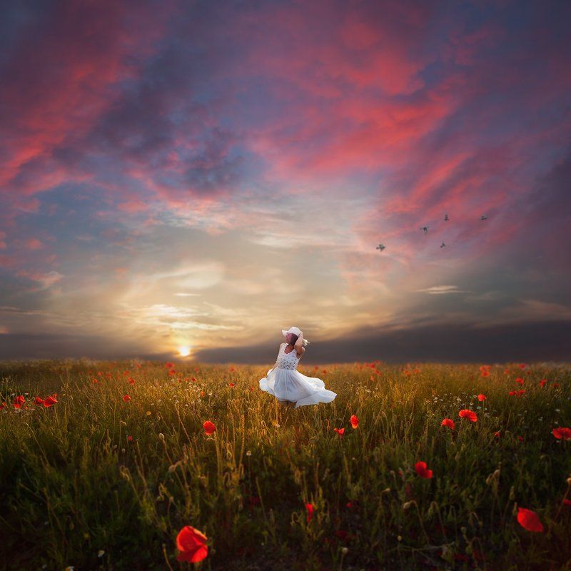 Colorful, Conceptual, Landscape The Last Summer Raysphoto preview