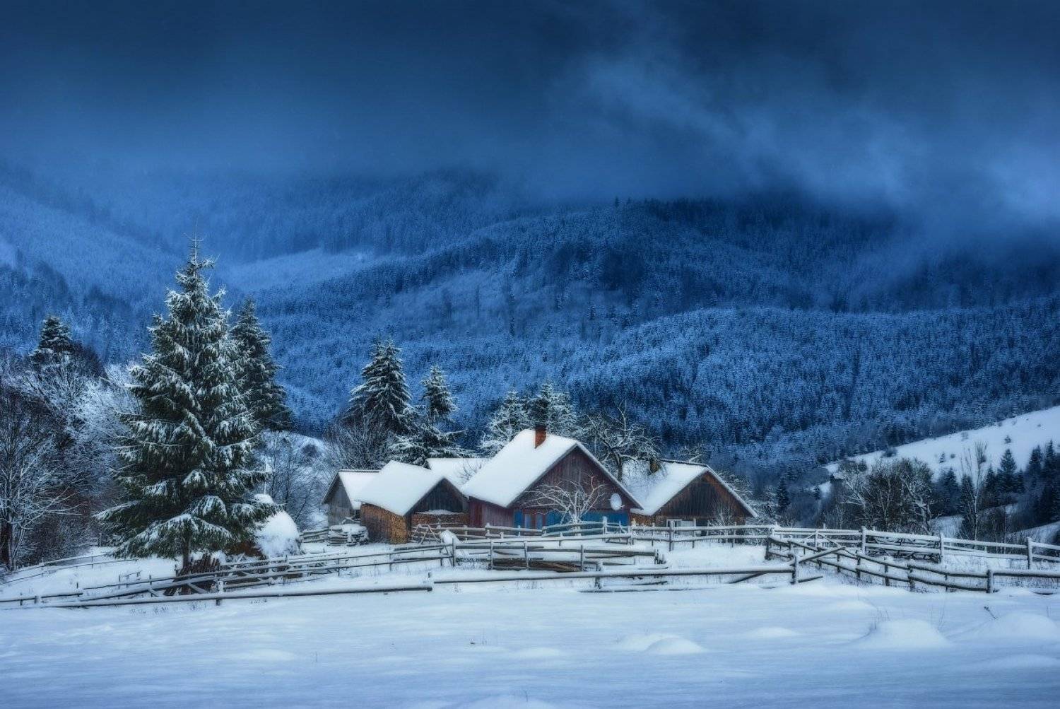 , Виталий Башкатов