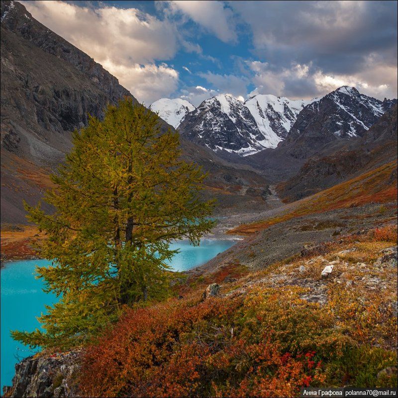 алтай, аня графова, горный алтай, горы, каракабак, озёра, северо-чуйский хребет Вечерние Каракабакские квадраты ...photo preview