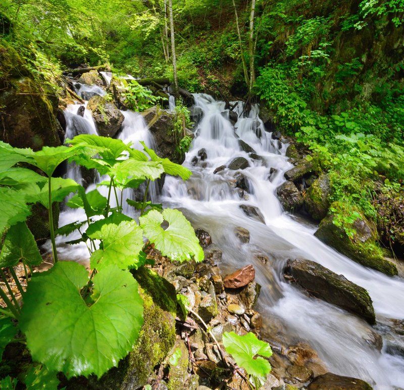 водопады Шепот горphoto preview