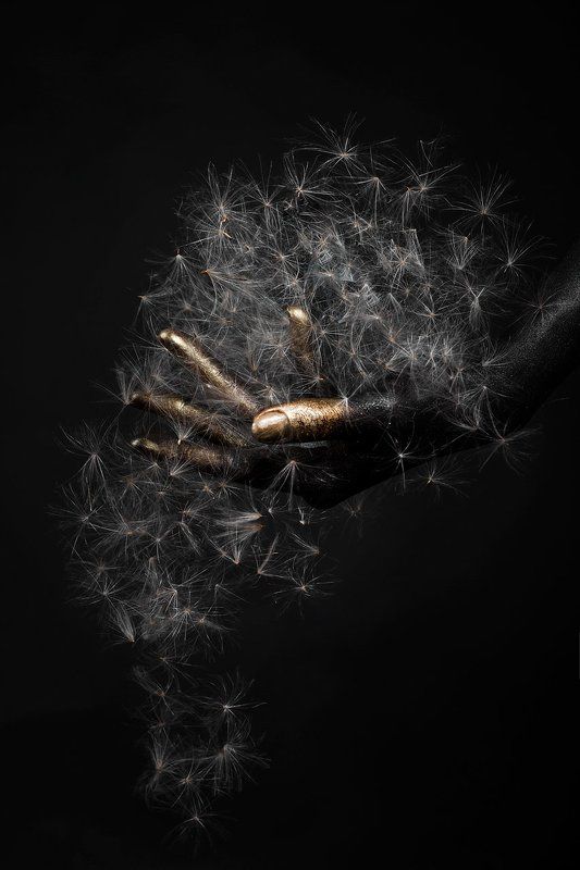 International Floral Art 2016-2017photo preview