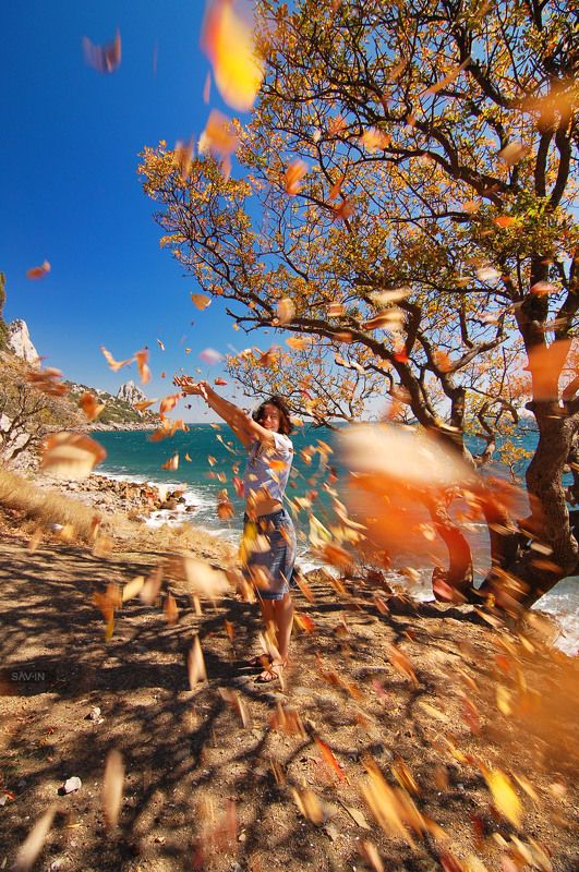 Autumn, Crimea, Крым, Осень, Черное море Осень в Крымуphoto preview