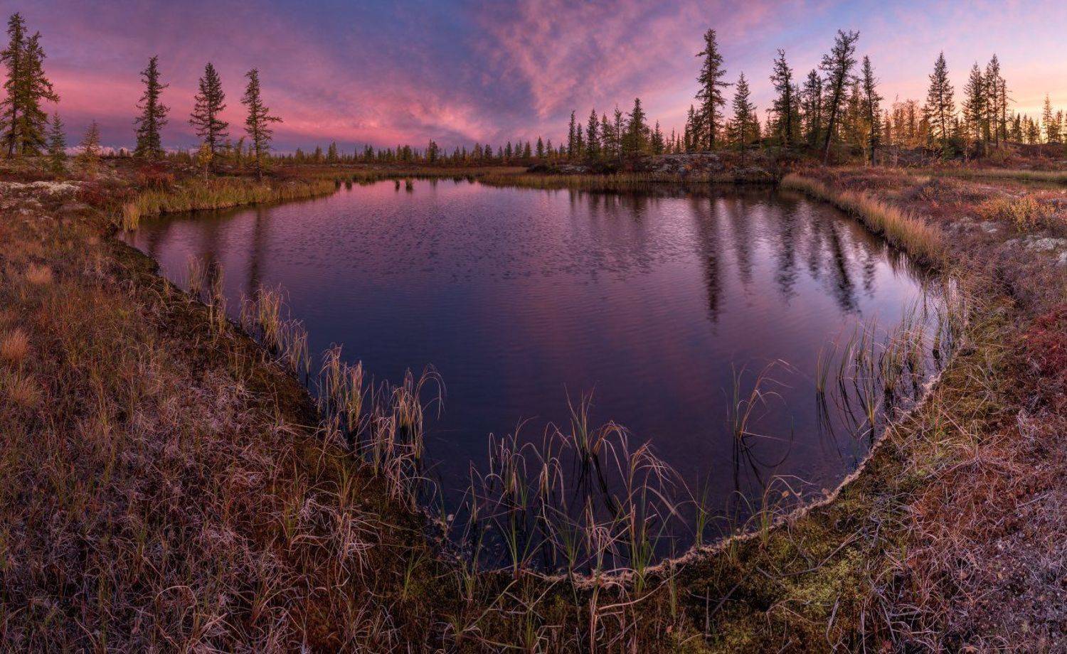 Озерцо. Автор: Андрей Снегирёв озеро, вечер, закат, сибирь, янао, природа, арктика, пейзаж, север, красота, Андрей Снегирёв