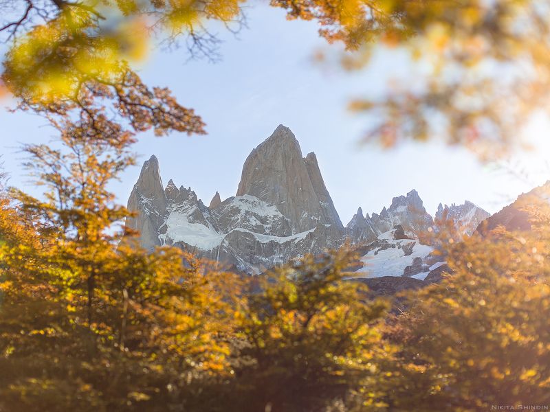 Фицрой в золотом ажуреphoto preview