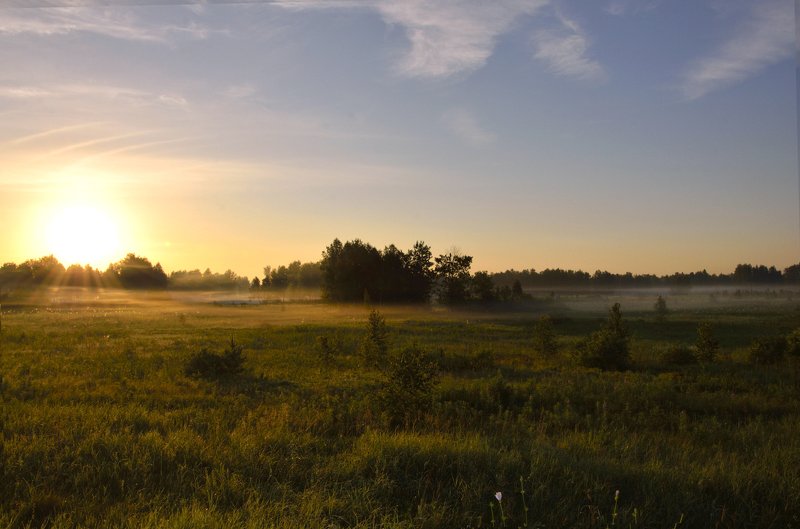 Луг восходящего солнцаphoto preview