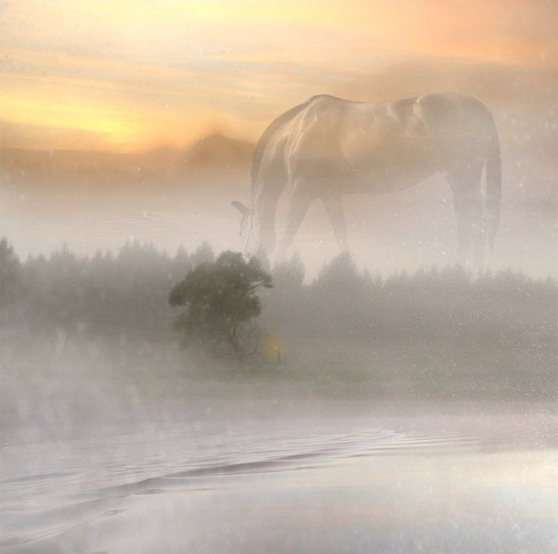 Тропами Норштейна...photo preview