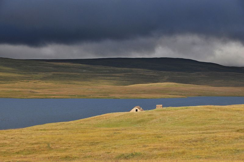 простые линииphoto preview