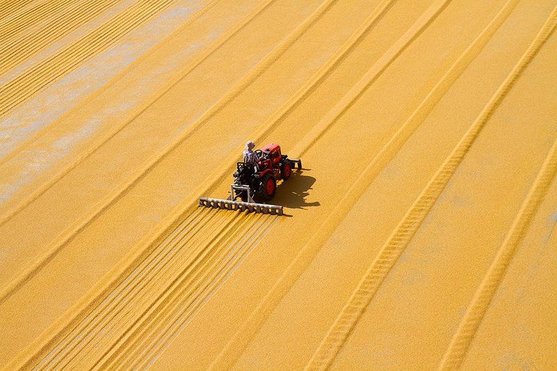 people,travel,farming bulgur kurutmaphoto preview