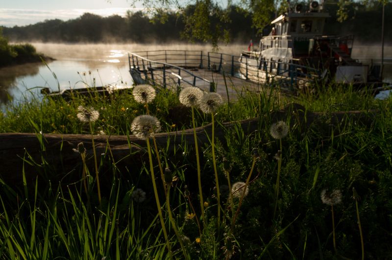 Встречающим рассветphoto preview