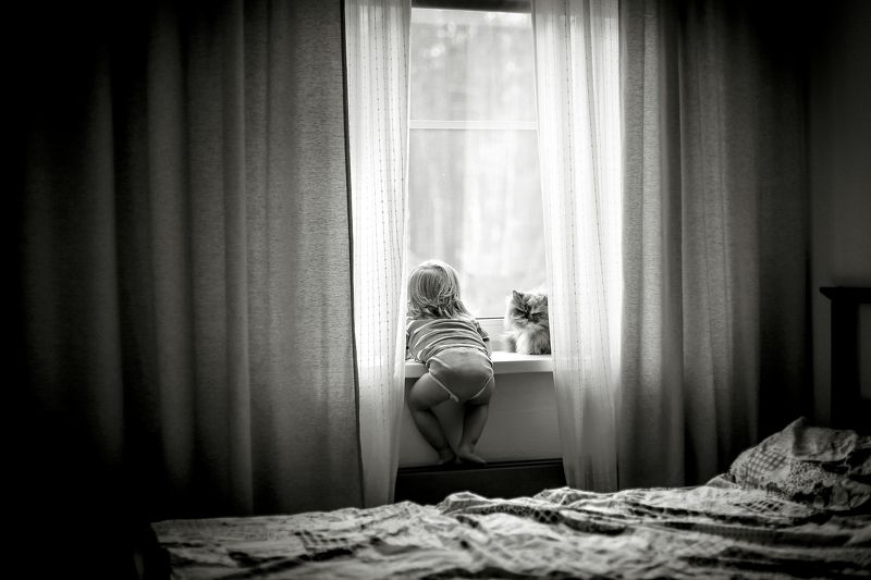 дождливое летоphoto preview